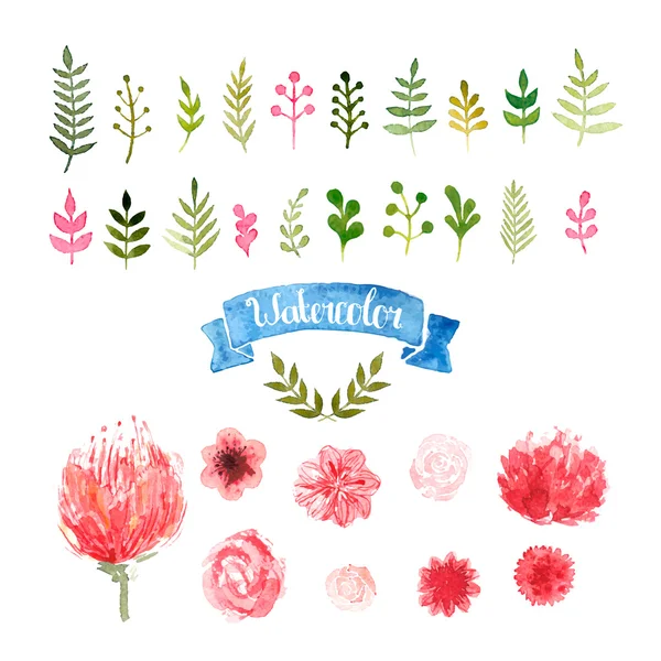Watercolor flowers, laurels and leaves — Stock Vector