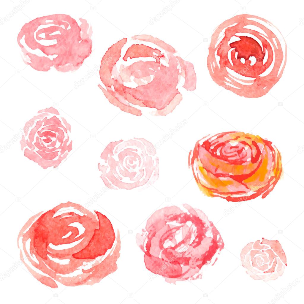 Watercolor flowers, vector floral collection
