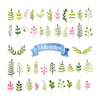 Vector watercolor collection clipart