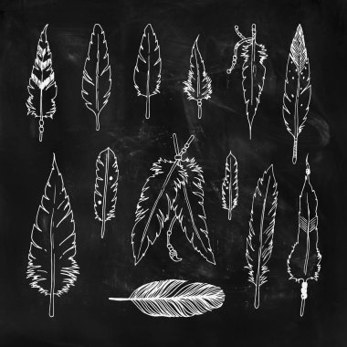 Handdrawn set of feathers clipart