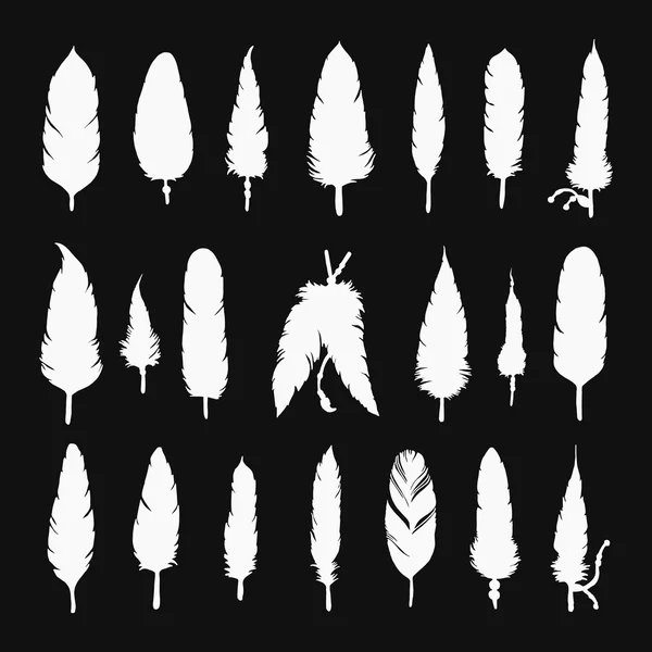 Collection of vector silhouette feathers — Stockový vektor