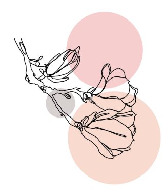 Çiçekli pembe arkaplan dalında manolya