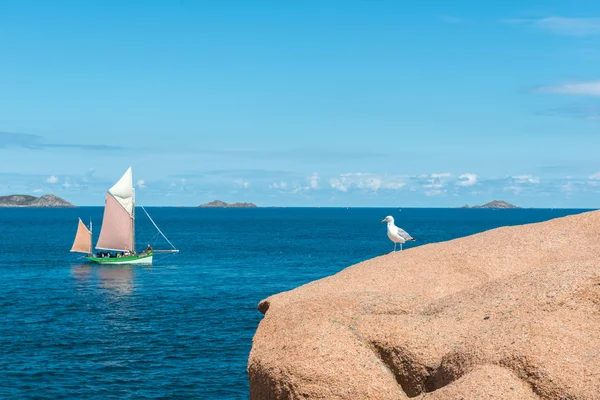 Pink granite cliffs in Saint-Guirec (France) — Stock Photo, Image