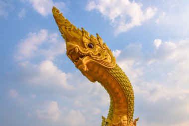 Yılan kafa ile gökyüzü arka plan