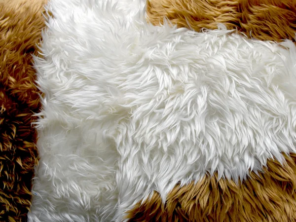 Brown and white fur texture — Stock Photo, Image