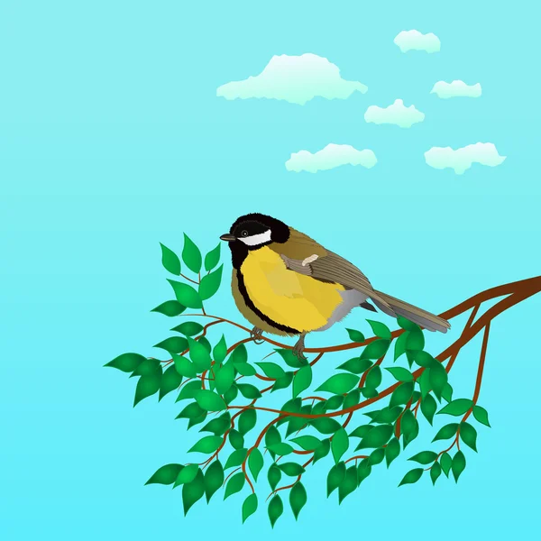 baştankara üzerinde bir brunch