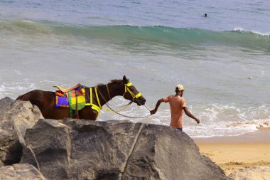 Genç bir Hintli çocuk sahilde at binmek için geziniyor.