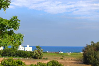 Ağaç yapraklarının çerçevesinin, mavi deniz suyunun, yeşil otların, ovaların ve gökyüzünde süzülen beyaz bulutların bulunduğu manzara fotoğrafı.
