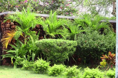 Dışarıdaki duvarın yanına yapılmış süslü bir bahçe.