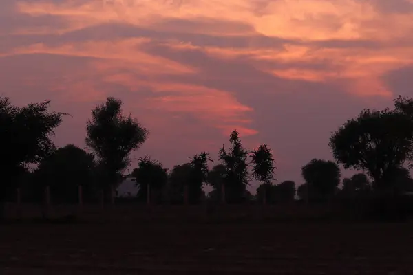 Carnagione Colorata Della Natura Vista Sera Dopo Tramonto Con Fitta — Foto Stock