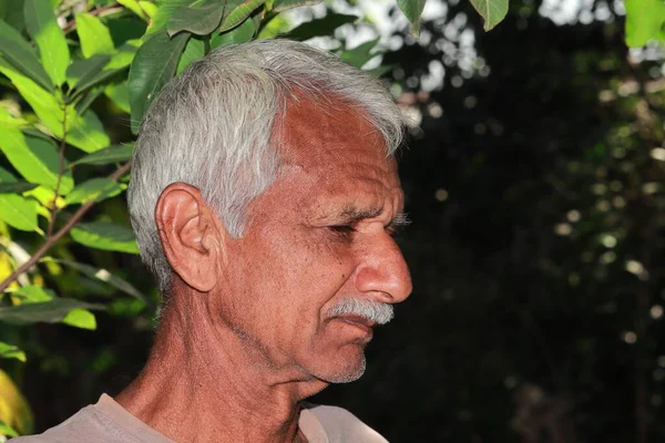 Фото Индийского Пожилого Фермера Лицом Профиле — стоковое фото