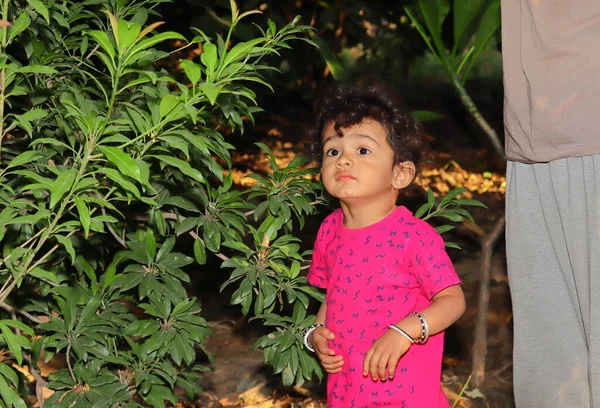 Красива Індійська Дитина Посміхається Квітці Чіку Саду Дитячому Портреті Саду — стокове фото