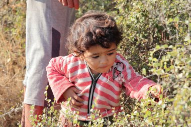 Küçük Kızılderili kökenli güzel bir çocuk ormanda çalılarla, Hindistan 'da jujube meyvesi kırıyor.