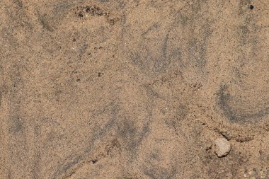 Islak toprak desenli. Hindistan, Asya. Asya - Hindistan yaşam tarzı .