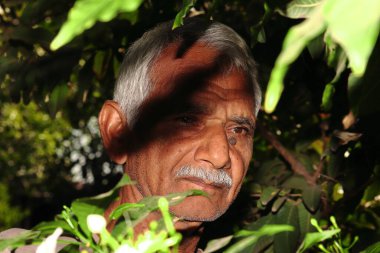 Hintli yaşlı bir adamın ya da çiftçinin portresi bahçede duruyor ve çiftçinin yüzünde bir gölge bırakıyor. Hindistan-Asya