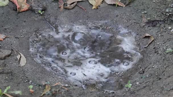Σπασμένος Σωλήνας Μέσα Στο Έδαφος Νερό Βγαίνει Από Ραγισμένο Μέρος — Αρχείο Βίντεο