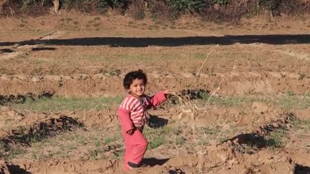 Ένα Παιδί Από Την Ινδία Που Παίζει Στο Χωράφι Κρατώντας — Αρχείο Βίντεο