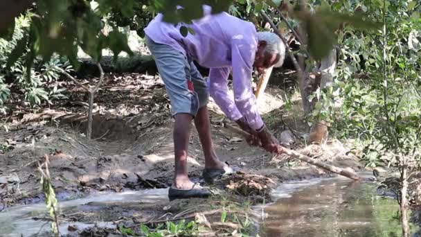 Indischer Senior Bauer Stoppt Das Wasser Mit Hilfe Einer Schaufel — Stockvideo