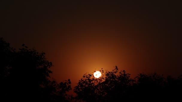 Vista Lapso Tiempo Hermosa Salida Del Sol Brillante Detrás Los — Vídeos de Stock