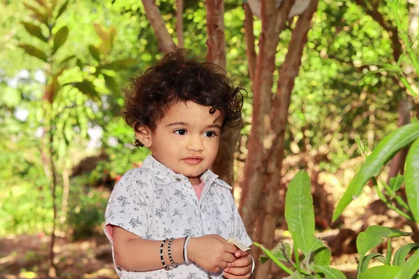 Cerca Retrato Pequeño Niño Asiático Pie Jardín Sosteniendo Una Hoja —  Fotos de Stock