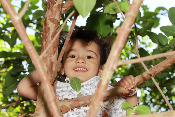 Retrato Cerca Niño Pequeño Indio Jugando Árbol Jardín Sonríe Cámara — Foto de Stock