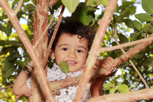 Retrato Cerca Niño Asiático Feliz Trepando Árbol Jardín Sonríe Cámara — Foto de Stock