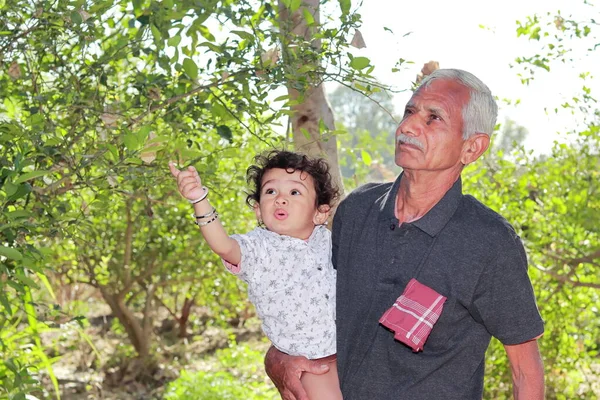 Küçük bir Hintli çocuğun Asyalı yaşlı bir dedeye yakın plan portresi. Bahçedeki meyvelere bakıyor.