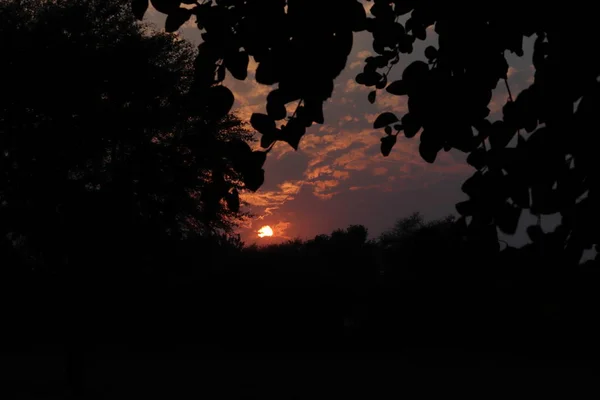 Magnifique Vue Sur Coucher Soleil Dans Zone Rurale Gros Plan — Photo