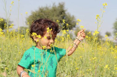 Hardal tarlasında yeşil gömlek giymiş, eğlenen ve oynayan güzel Hintli küçük bir çocuğun yakın plan portresi.