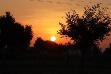 Tam yuvarlak sarı parlak güneş ve loş güneş ışığı, siluet vahşi ağaçların arkasında günbatımı ve küçük tepe, açık ve saf atmosferde güneşin tam parlaklığı ve keskinliği