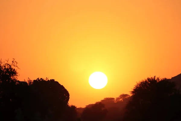 丸みを帯びた黄色の明るい太陽と薄暗い陽射し シルエットの野生の木々や小さな丘の後ろの夕日 開放的な純粋な雰囲気と田舎での太陽の完全な明るさと鋭さ — ストック写真