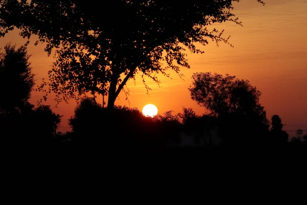 Utsikt Över Full Rund Gul Ljus Sol Och Svagt Solljus — Stockfoto