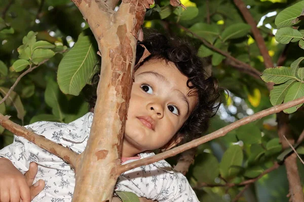 Крупный План Портрета Красивого Милого Индийского Мальчика Позирующего Гуавой — стоковое фото
