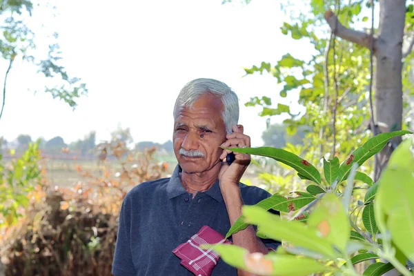 Close-up of An elderly Indian farmer or gardener standing in a garden or field talking to an agricultural co-operator or specialist on a keypad mobile