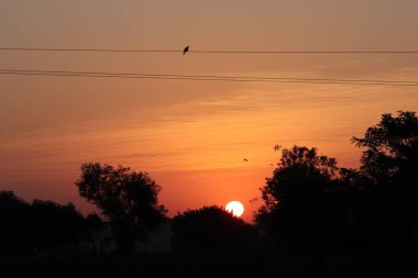 Tam yuvarlak sarı parlak güneş ve loş güneş ışığı, siluet vahşi ağaçların arkasında günbatımı ve küçük tepe, açık ve saf atmosferde güneşin tam parlaklığı ve keskinliği