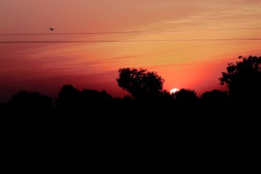 Güneşin doğuşunda gökyüzünde uçan kuşların ve siluet dağlarının ve siluet ağaçlarının arkasından doğan göz kamaştırıcı güneşin görüntüsü.