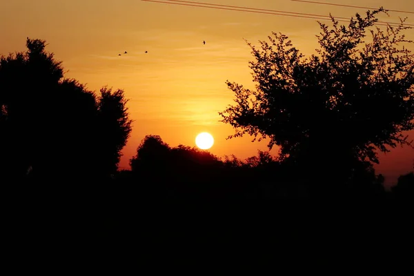 Manhã Vista Nascer Sol Pássaros Voando Céu Colorido Sol Deslumbrante — Fotografia de Stock