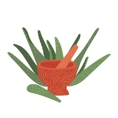 Havan ve aloe vera yaprakları beyaz arka planda izole edilmiş. İksir Hazırlığı. El yazması çizim tarzında vektör illüstrasyonu.