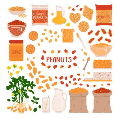 Beyaz arka planda yer fıstığı seti. Fıstık ürünleri koleksiyonu. El yazması çizim tarzında vektör illüstrasyonu.