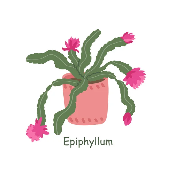 Epiphyllum Φυτό Απομονώνονται Λευκό Φόντο Χαριτωμένος Κάκτος Εικονογράφηση Διάνυσμα Στυλ — Διανυσματικό Αρχείο