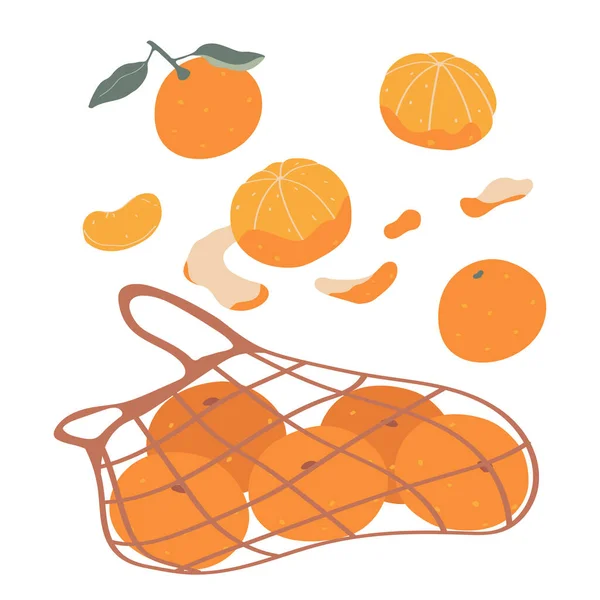 Conjunto Tangerinas Isoladas Sobre Fundo Branco Frutas Saudáveis Inverno Ilustração — Vetor de Stock