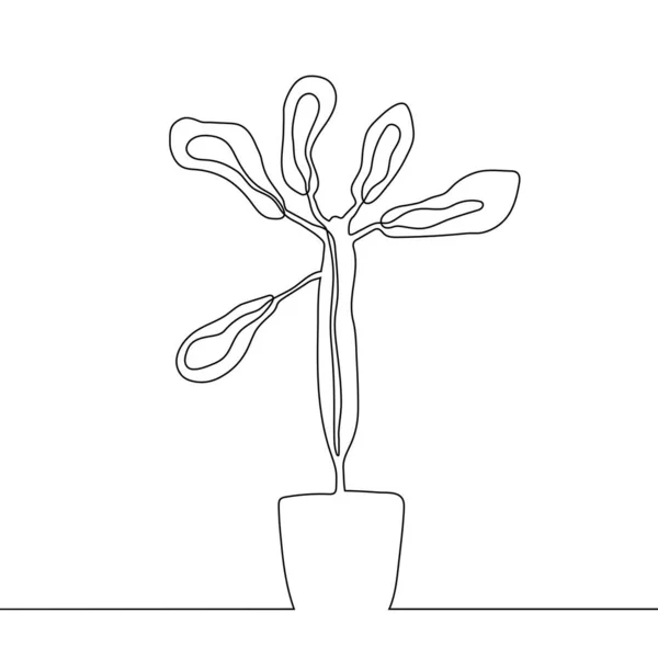 Euphorbia Isoliert Auf Weißem Hintergrund Kontinuierliche Linienzeichnung Vektor Illustration Linie — Stockvektor