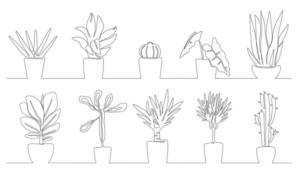 Zimmerpflanzen Isoliert Auf Weißem Hintergrund Kontinuierliche Linienzeichnung Moderner Minimalismus Vektor — Stockvektor
