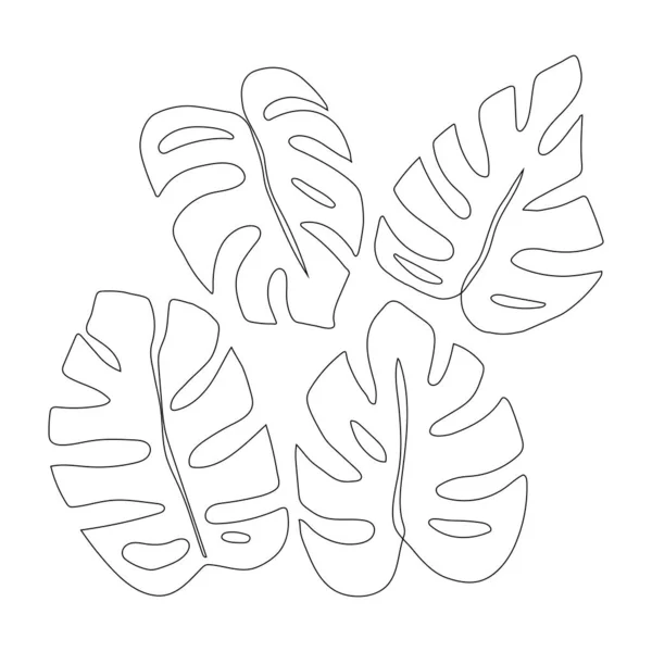 Hojas de Monstera aisladas sobre fondo blanco. Dibujo continuo de una línea. Ilustración vectorial en estilo de arte en línea. — Vector de stock