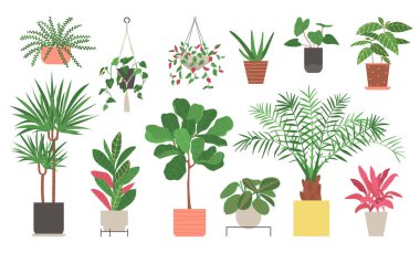 Beyaz arka planda izole edilmiş ev bitkileri. Kapalı kaplarda bitki koleksiyonu. Ev dekoru. Düz biçimli vektör illüstrasyonu