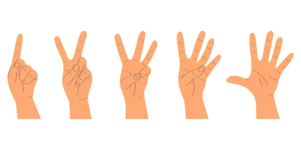 Conjunto Desenhos Animados Contar Mãos Mãos Mostram Gestos Dois Três — Vetor de Stock