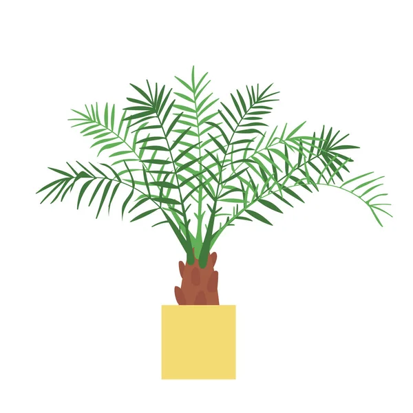 Home Plant Datum Palm Platte Stijl Moderne Elegante Huisinrichting Vector — Stockvector