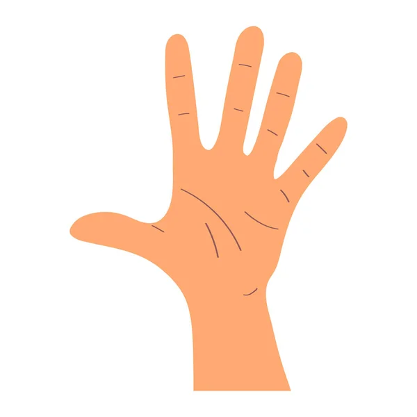 Hand Shows Five Fingers Gesture Shows Number Five Fingers Hand — Stock Photo, Image