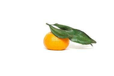 Beyaz arka planda yeşil yapraklı taze ve olgun mandalinalar.