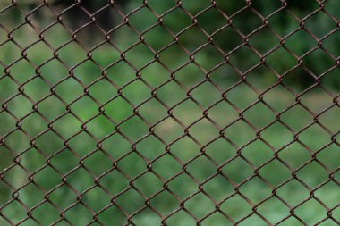 Eski ve paslı bir tel örgülü tel örgü çitin etrafını sarmış.